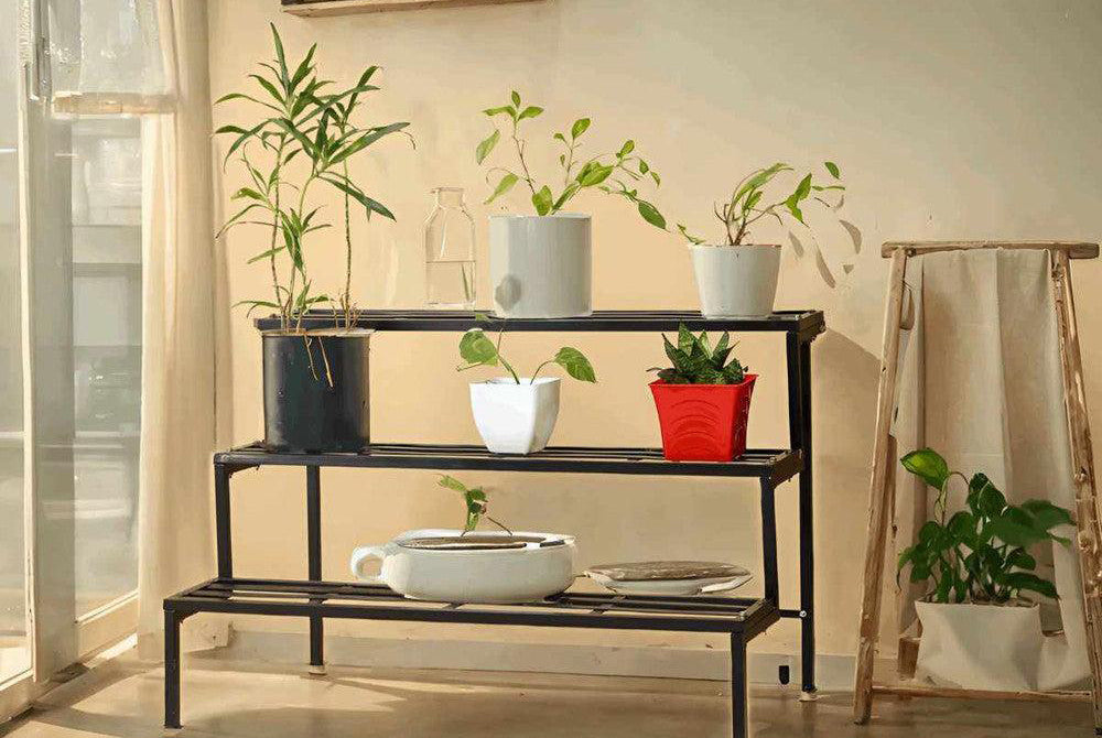 Plant Stand: A Stylish Way to Elevate Your Indoor Garden 🌿